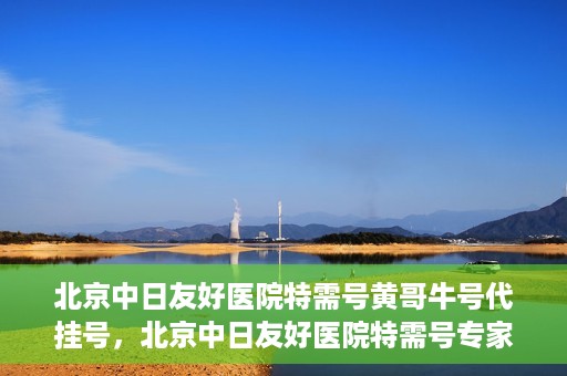 北京中日友好医院特需号黄哥牛号代挂号，北京中日友好医院特需号专家黄哥牛挂号攻略