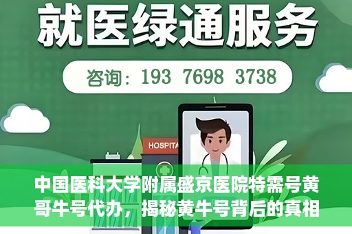 中国医科大学附属盛京医院特需号黄哥牛号代办，揭秘黄牛号背后的真相，盛京医院特需号代办乱象解析
