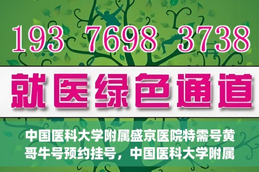 中国医科大学附属盛京医院特需号黄哥牛号预约挂号，中国医科大学附属盛京医院特需号专家黄哥牛号预约挂号攻略