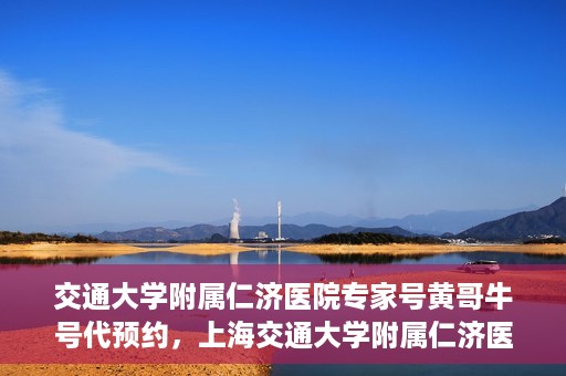 交通大学附属仁济医院专家号黄哥牛号代预约，上海交通大学附属仁济医院专家号预约服务解析，黄哥牛号预约攻略揭秘