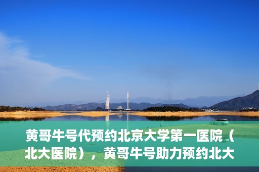 黄哥牛号代预约北京大学第一医院（北大医院），黄哥牛号助力预约北大医院——北京大学第一医院权威预约服务开启