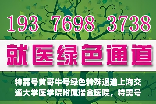 特需号黄哥牛号绿色特殊通道上海交通大学医学院附属瑞金医院，特需号黄哥牛号，瑞金医院的绿色特殊通道探索