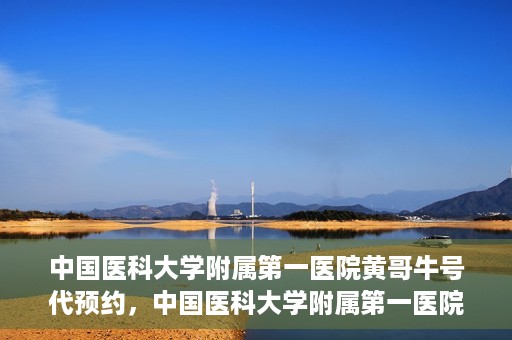 中国医科大学附属第一医院黄哥牛号代预约，中国医科大学附属第一医院黄哥牛号预约服务详解