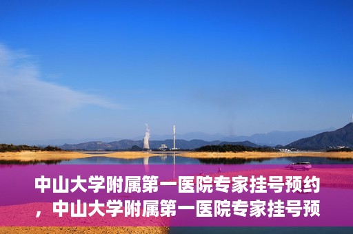 中山大学附属第一医院专家挂号预约，中山大学附属第一医院专家挂号预约攻略解析