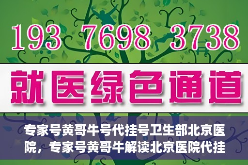 专家号黄哥牛号代挂号卫生部北京医院，专家号黄哥牛解读北京医院代挂号新政，卫生部权威解读与深度剖析