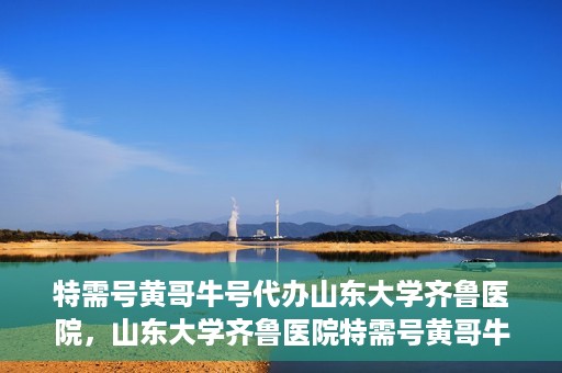 特需号黄哥牛号代办山东大学齐鲁医院，山东大学齐鲁医院特需号黄哥牛号代办服务