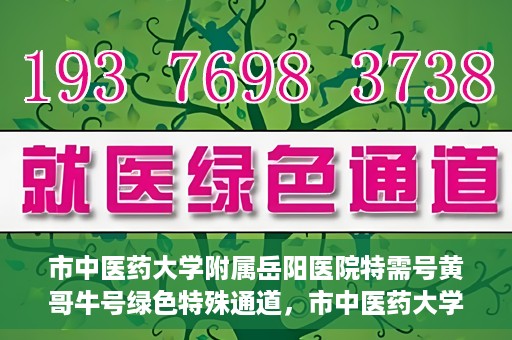 市中医药大学附属岳阳医院特需号黄哥牛号绿色特殊通道，市中医药大学附属岳阳医院黄哥牛号特需绿色就医通道揭秘