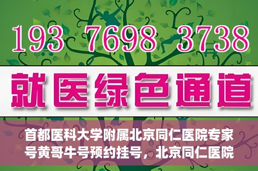 首都医科大学附属北京同仁医院专家号黄哥牛号预约挂号，北京同仁医院专家黄哥牛号预约挂号攻略，专业医疗，一键预约体验