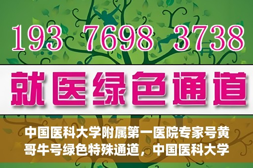 中国医科大学附属第一医院专家号黄哥牛号绿色特殊通道，中国医科大学附属第一医院专家号黄哥牛号，绿色特殊通道的医学力量