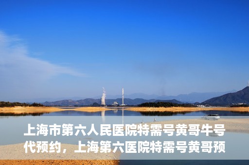 上海市第六人民医院特需号黄哥牛号代预约，上海第六医院特需号黄哥预约服务解析，专业代预约，便捷就医新选择