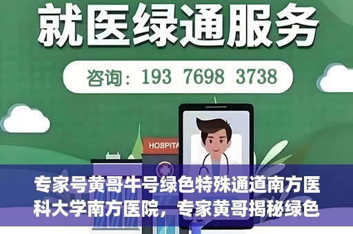 专家号黄哥牛号绿色特殊通道南方医科大学南方医院，专家黄哥揭秘绿色特殊通道，南方医科大学南方医院的深度探索