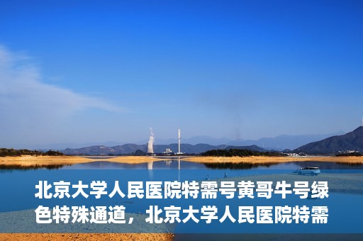 北京大学人民医院特需号黄哥牛号绿色特殊通道，北京大学人民医院特需号黄哥牛号，绿色特殊通道揭秘