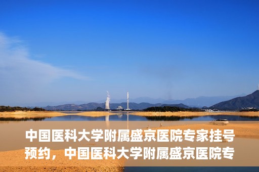 中国医科大学附属盛京医院专家挂号预约，中国医科大学附属盛京医院专家挂号预约攻略，一站式预约服务解析
