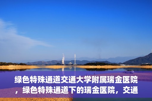绿色特殊通道交通大学附属瑞金医院，绿色特殊通道下的瑞金医院，交通大学附属瑞金医院的探索与实践
