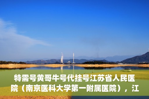 特需号黄哥牛号代挂号江苏省人民医院（南京医科大学第一附属医院），江苏省人民医院特需号黄哥牛号代挂号服务解析