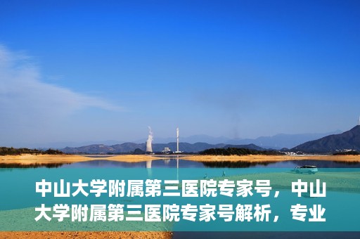 中山大学附属第三医院专家号，中山大学附属第三医院专家号解析，专业医疗团队为您的健康保驾护航