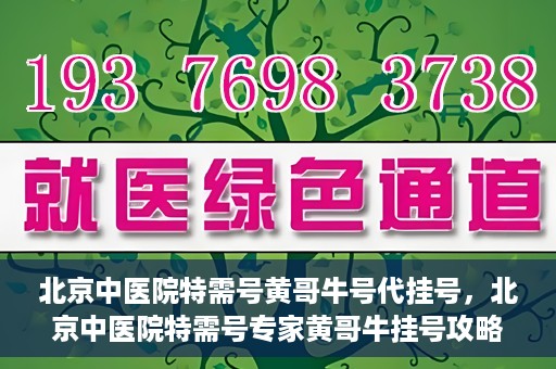 北京中医院特需号黄哥牛号代挂号，北京中医院特需号专家黄哥牛挂号攻略，深度解析代挂号服务