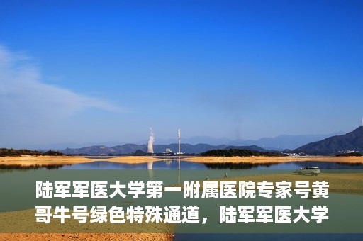 陆军军医大学第一附属医院专家号黄哥牛号绿色特殊通道，陆军军医大学第一附属医院专家号黄哥牛号，绿色特殊通道揭秘