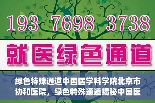 绿色特殊通道中国医学科学院北京市协和医院，绿色特殊通道揭秘中国医学科学院北京市协和医院的力量与担当