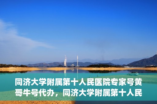 同济大学附属第十人民医院专家号黄哥牛号代办，同济大学附属第十人民医院专家号黄哥牛号预约代办服务解析