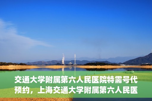 交通大学附属第六人民医院特需号代预约，上海交通大学附属第六人民医院特需号预约服务详解