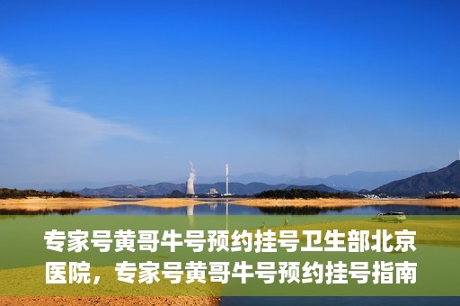 专家号黄哥牛号预约挂号卫生部北京医院，专家号黄哥牛号预约挂号指南，北京医院卫生部挂号攻略