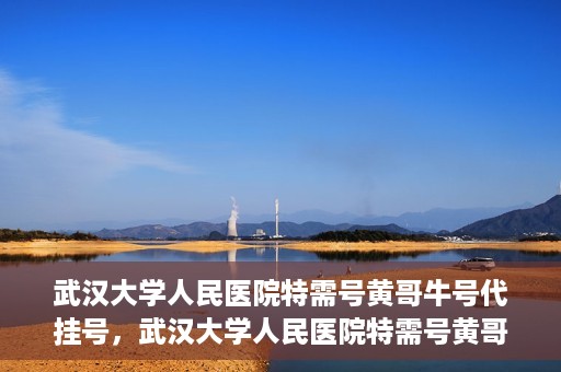 武汉大学人民医院特需号黄哥牛号代挂号，武汉大学人民医院特需号黄哥牛号代挂号背后的故事与真相揭秘