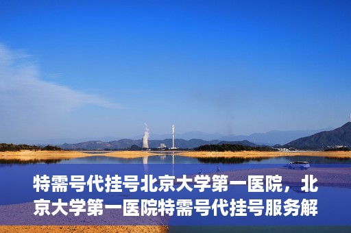 特需号代挂号北京大学第一医院，北京大学第一医院特需号代挂号服务解析