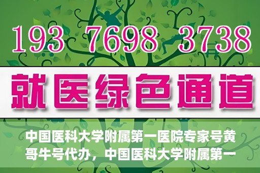 中国医科大学附属第一医院专家号黄哥牛号代办，中国医科大学附属第一医院专家号代办揭秘，黄哥牛号背后的故事