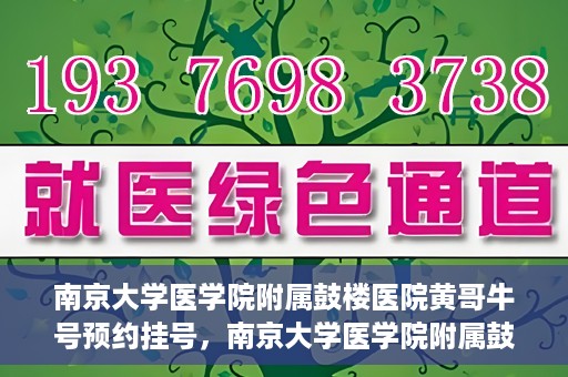 南京大学医学院附属鼓楼医院黄哥牛号预约挂号，南京大学医学院附属鼓楼医院黄哥牛号预约挂号攻略解析