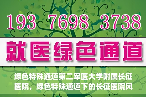 绿色特殊通道第二军医大学附属长征医院，绿色特殊通道下的长征医院风采——第二军医大学附属长征医院探索与实践