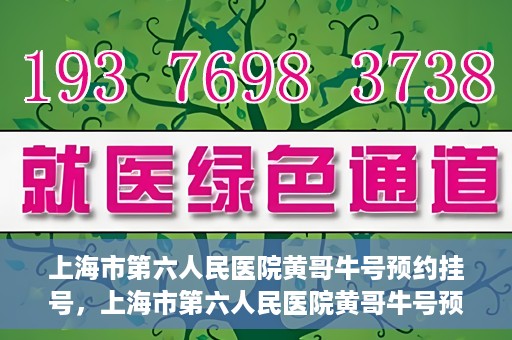 上海市第六人民医院黄哥牛号预约挂号，上海市第六人民医院黄哥牛号预约挂号攻略，轻松挂号，便捷就医体验
