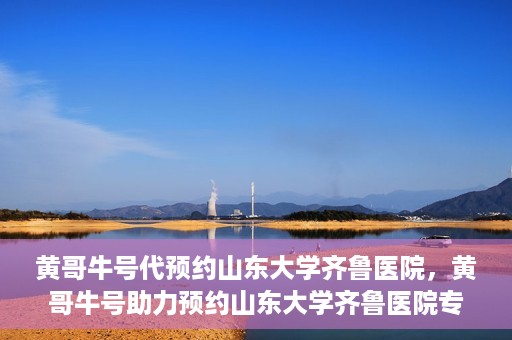 黄哥牛号代预约山东大学齐鲁医院，黄哥牛号助力预约山东大学齐鲁医院专家号