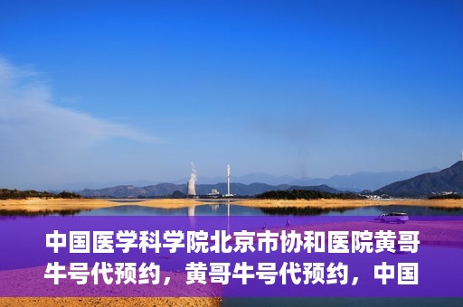 中国医学科学院北京市协和医院黄哥牛号代预约，黄哥牛号代预约，中国医学科学院北京市协和医院挂号新途径探索