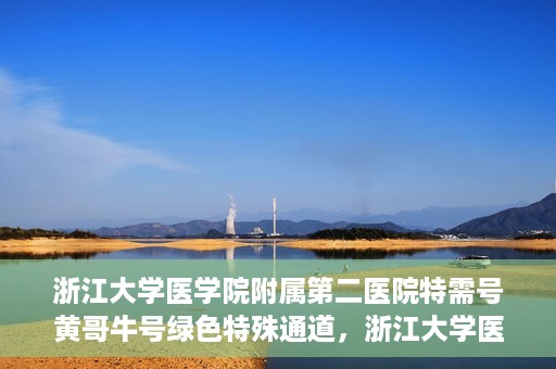 浙江大学医学院附属第二医院特需号黄哥牛号绿色特殊通道，浙江大学医学院附属第二医院特需号黄哥牛号，绿色就医通道揭秘