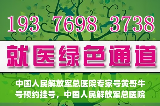 中国人民解放军总医院专家号黄哥牛号预约挂号，中国人民解放军总医院黄哥牛号专家号预约挂号攻略