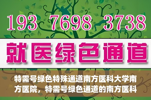 特需号绿色特殊通道南方医科大学南方医院，特需号绿色通道的南方医科大学南方医院实践探索