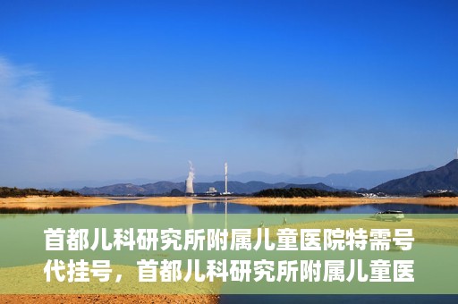 首都儿科研究所附属儿童医院特需号代挂号，首都儿科研究所附属儿童医院特需号源代挂号服务解析