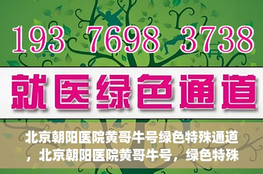 北京朝阳医院黄哥牛号绿色特殊通道，北京朝阳医院黄哥牛号，绿色特殊通道开启健康之门