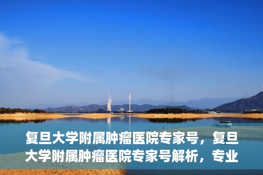复旦大学附属肿瘤医院专家号，复旦大学附属肿瘤医院专家号解析，专业诊疗与权威解读的权威指南