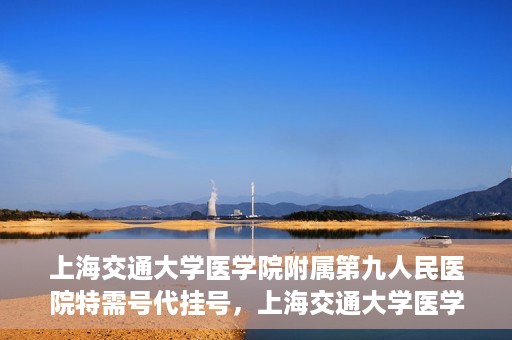 上海交通大学医学院附属第九人民医院特需号代挂号，上海交通大学医学院附属第九人民医院特需号源代挂号服务解析