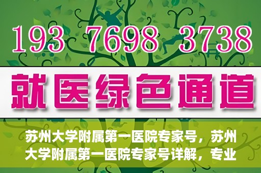 苏州大学附属第一医院专家号，苏州大学附属第一医院专家号详解，专业医疗团队与精准诊疗服务