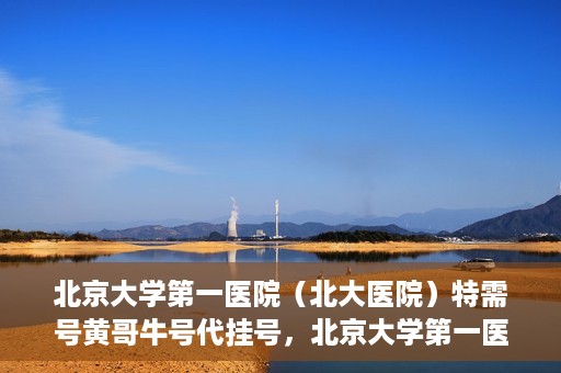北京大学第一医院（北大医院）特需号黄哥牛号代挂号，北京大学第一医院特需号专家黄哥牛号代挂号服务解析