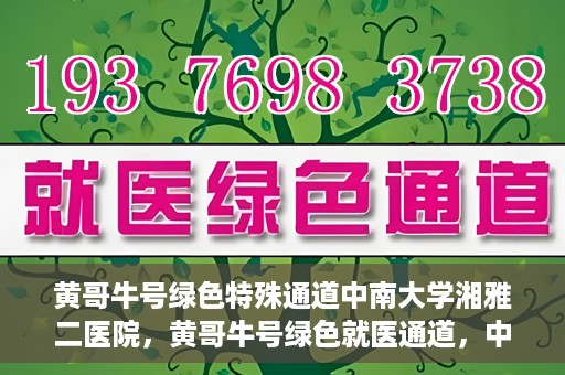黄哥牛号绿色特殊通道中南大学湘雅二医院，黄哥牛号绿色就医通道，中南大学湘雅二医院特色服务揭秘