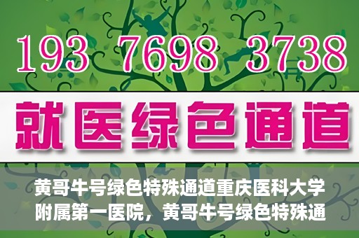 黄哥牛号绿色特殊通道重庆医科大学附属第一医院，黄哥牛号绿色特殊通道，重庆医科大学附属第一医院实践探索