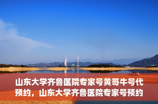 山东大学齐鲁医院专家号黄哥牛号代预约，山东大学齐鲁医院专家号预约服务解析，黄哥牛号代预约详解