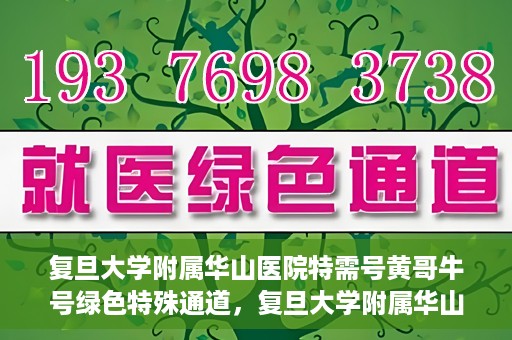 复旦大学附属华山医院特需号黄哥牛号绿色特殊通道，复旦大学附属华山医院特需号黄哥牛号，绿色通道的温暖守护之路