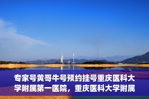 专家号黄哥牛号预约挂号重庆医科大学附属第一医院，重庆医科大学附属第一医院专家号黄哥牛号预约挂号指南