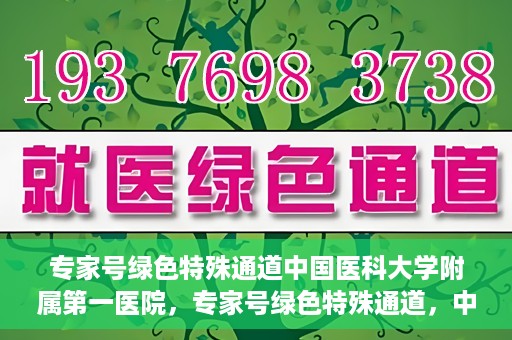 专家号绿色特殊通道中国医科大学附属第一医院，专家号绿色特殊通道，中国医科大学附属第一医院医疗服务的创新实践