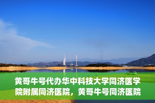 黄哥牛号代办华中科技大学同济医学院附属同济医院，黄哥牛号同济医院代办服务，专业助力就医无忧！